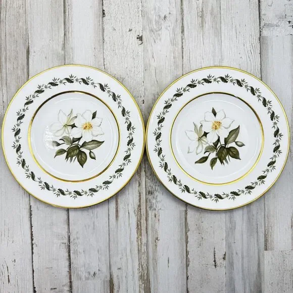 2 Vintage Royal Worcester Bernina 8” Salad Dessert Plates Made In England Flaw
