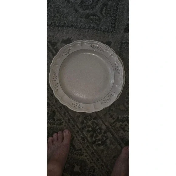 Pfaltzgraff dinnerplate  featuring a beige  with a scalloped edge. Set of 2