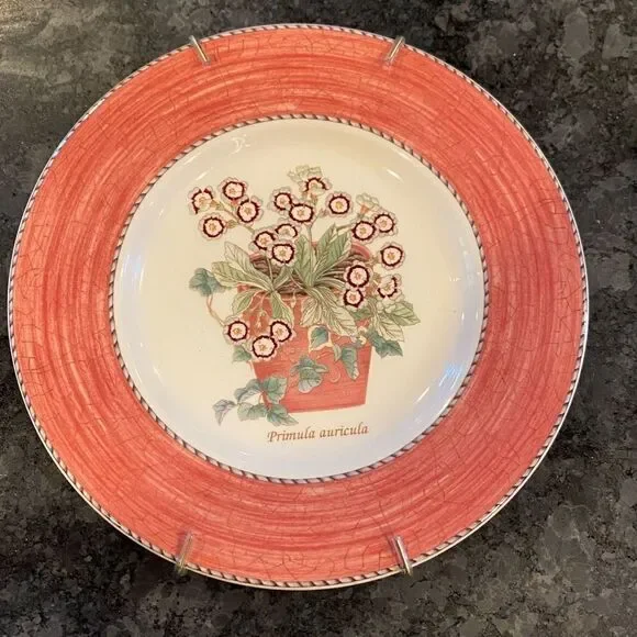 Vintage Wedgwood SARAH'S GARDEN Salad Plate Terracotta PRIMULA AURICULA