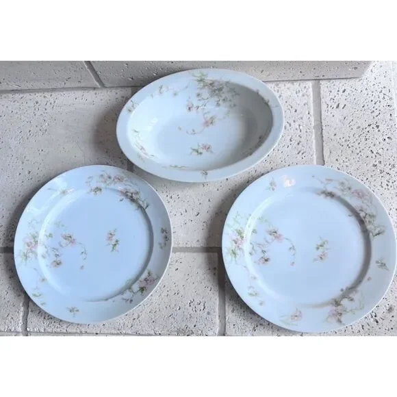 Vintage GDA CH Field Haviland Limoges France Floral Dinner Plates & Serving Dish