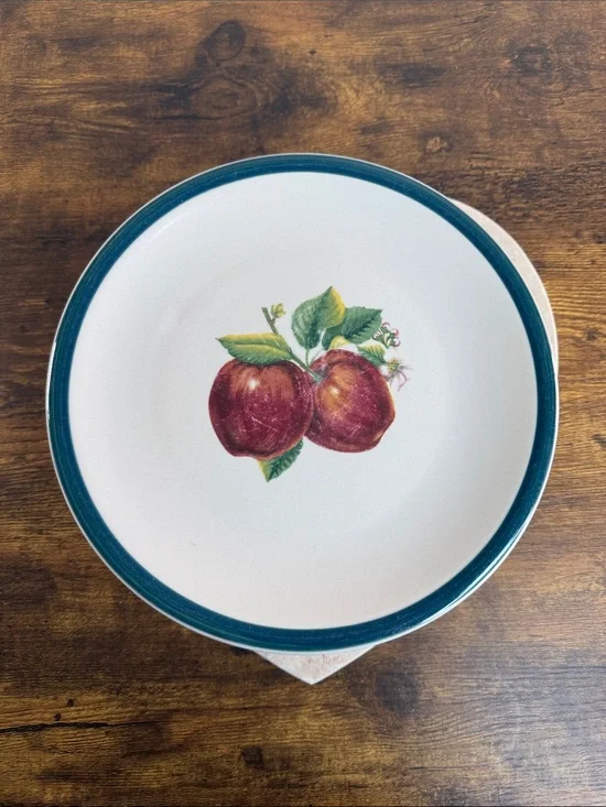 White Ceramic Dinner Plate with Teal Rim and Red Apple Motif Set Of 5