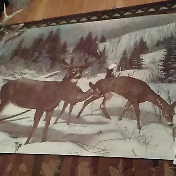 DEER MURAL WILDLIFE WISC VINTAGE  MURAL BUCKS  🦌 RARE WALL HUGE EVC