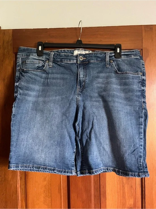 Torrid Denim Jean Shorts
