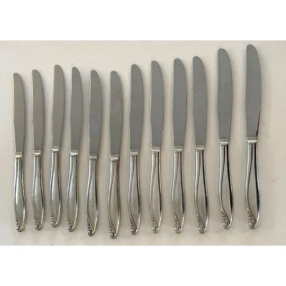 Oneida Wm. A. Rogers Silverplate FLOWERTIME 1963 Dinner Knives SET OF 12 Knives