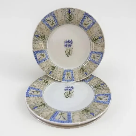 Set of 4 Pier 1 Imports Hydrangea Angleterre England 8