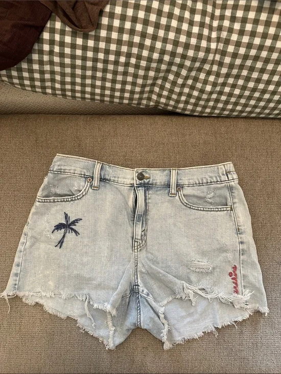 Aerie Distressed Denim Short w/ Embroidery