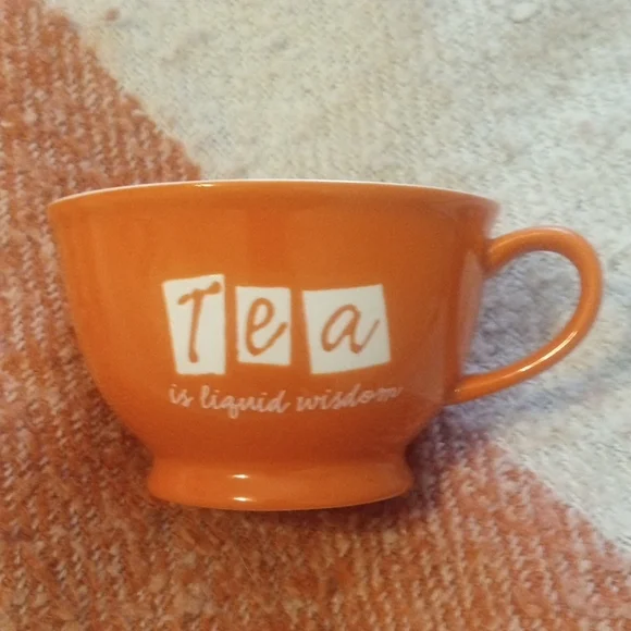 Pier 1 Imports Orange Stoneware Tea Cup