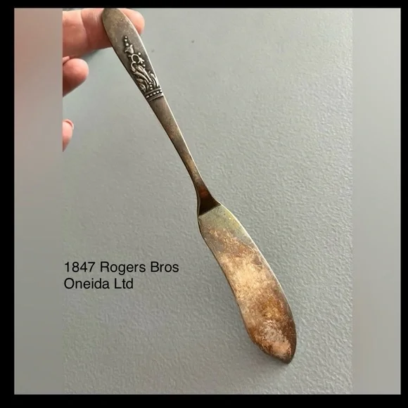 🇺🇸 Vintage Oneida 1847 Rogers Bros Stainless Flat Butter Knife – Floral Pattern