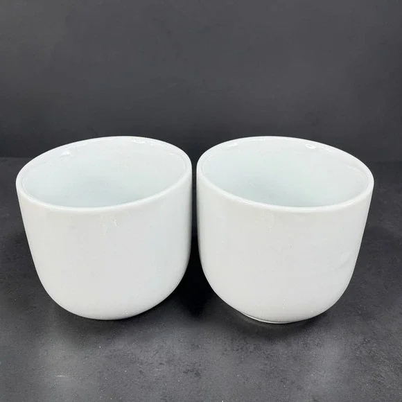 Pier 1 Imports White Ceramic Tea Sake Cups Mugs Handleless Minimalist Set of 2