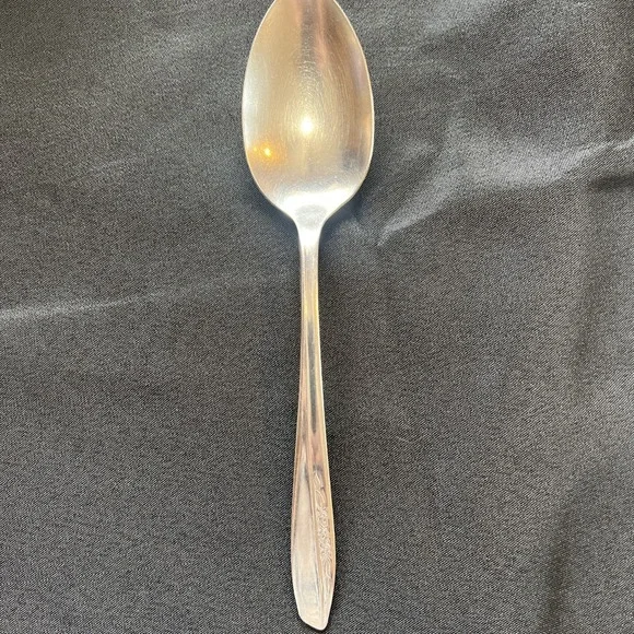 Insico International Silver‎ Stainless Serving Spoon 8.5
