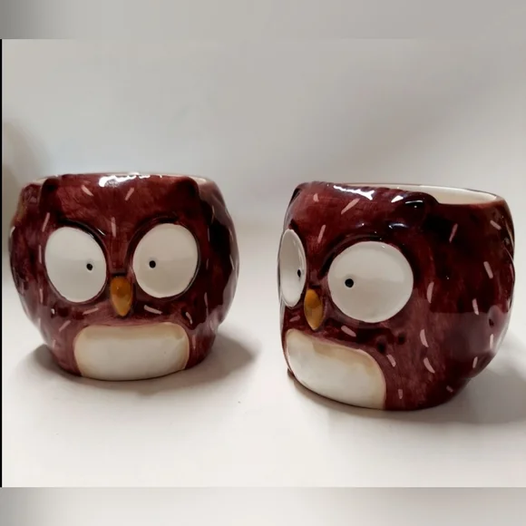 2 Vintage Pier 1 Owl Coffee Mugs Cozy Countrycore