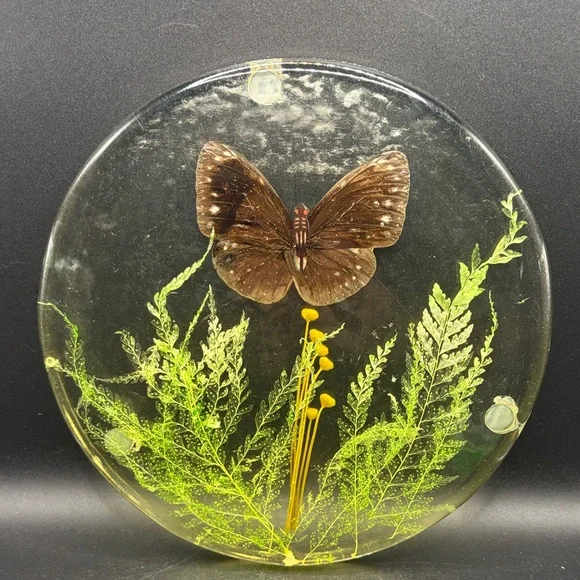 Vintage Butterfly Dried Flowers Trivet Resin Acrylic Lucite 1970s Kitchen Retro
