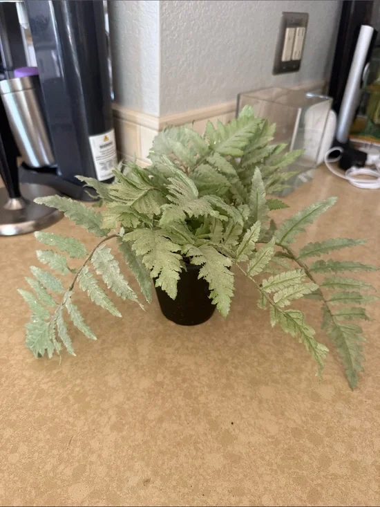 Pottery Barn Pale Green Faux Fern Accent Plant