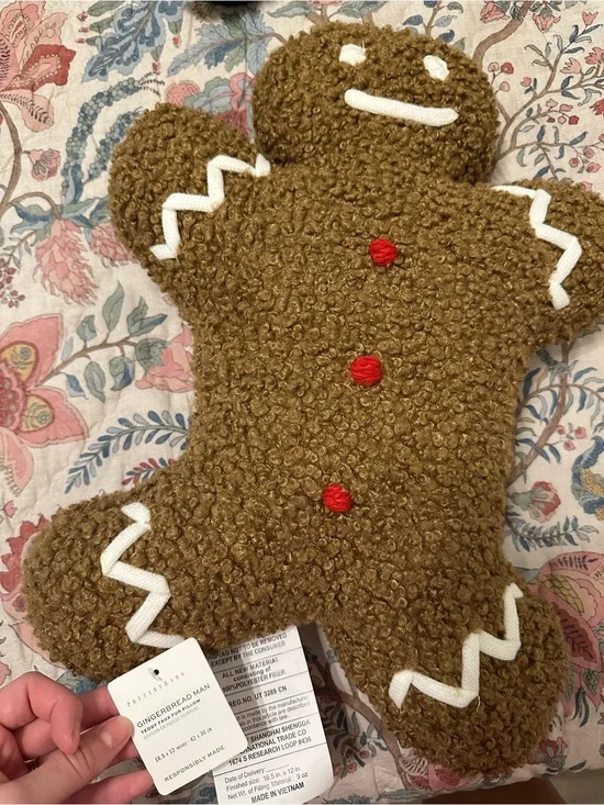 Pottery Barn Mr. Spice pillow