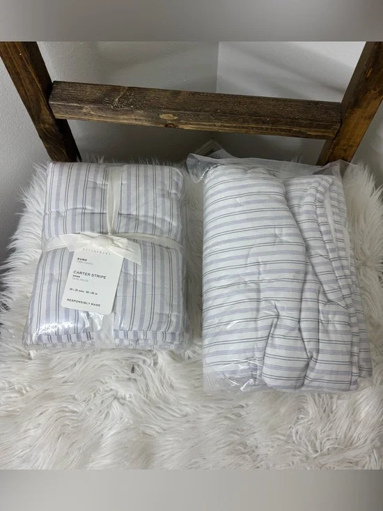 Pottery Barn Carter Stripe Blue & White Euro Pillow Shams (2)