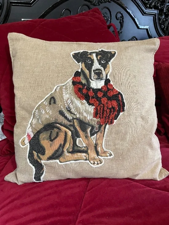Pottery Barn dog pillow with insert