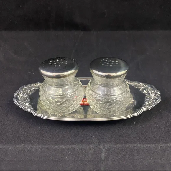 Elegant Silver Salt and Pepper Shaker Set