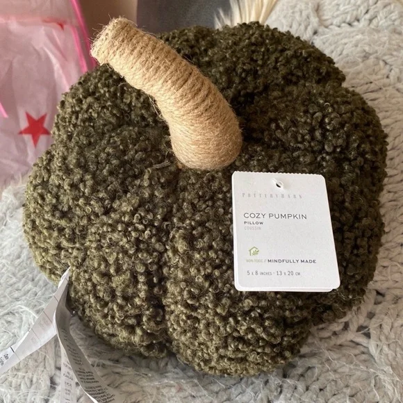 Pottery Barn Olive Green Pumpkin