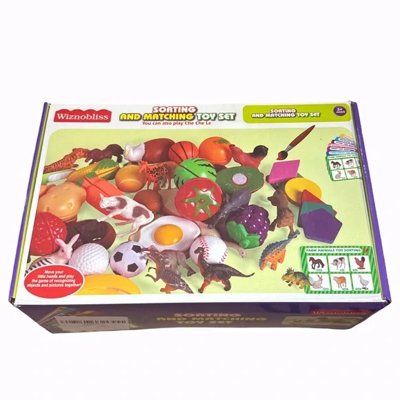 Wiznobliss Sorting TOYS for Toddlers 3 in 1 Learning Education Sorting Games NEW