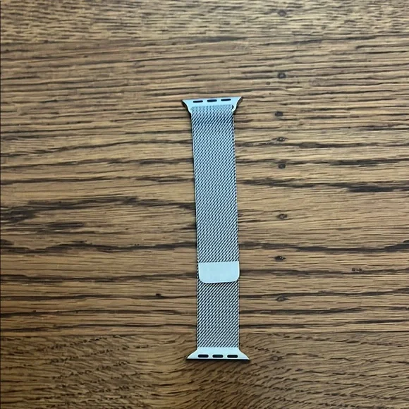 Silver Mesh Apple Watch Band