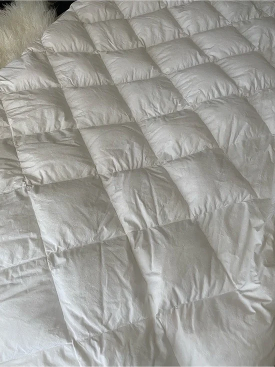 RH down mattress pad