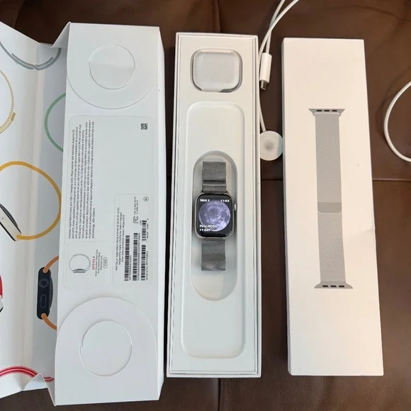 Series 8 Apple Watch 41mm with Stainless Steel Loop