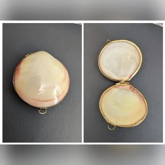 Hand Crafted Polished Tiger Clam and Brass Trinket Box