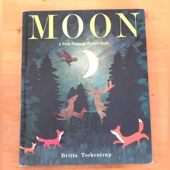 Moon Peek-Through Picture Book by Britta Teckentrup 2017 hardcover