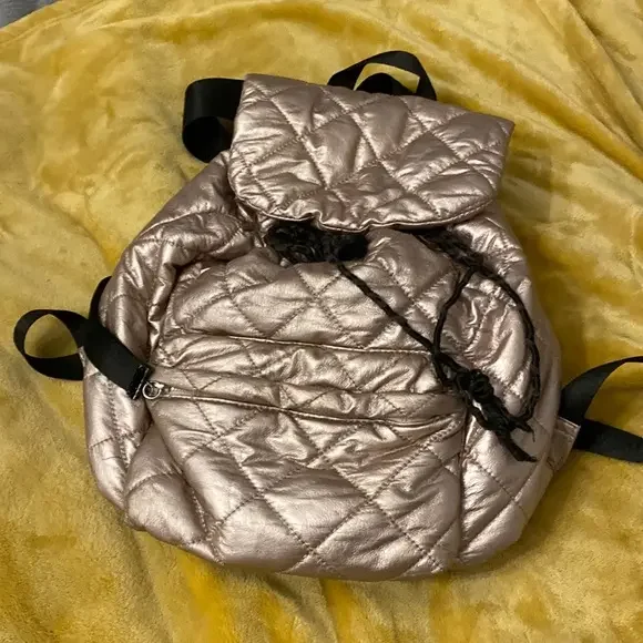 Stunning‎ metallic backpack