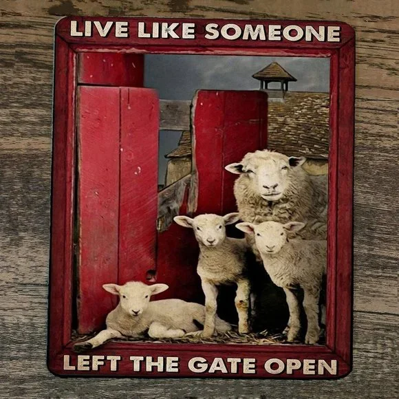 Mouse Pad Live‎ Like Someone Left The Gate Open Sheep
