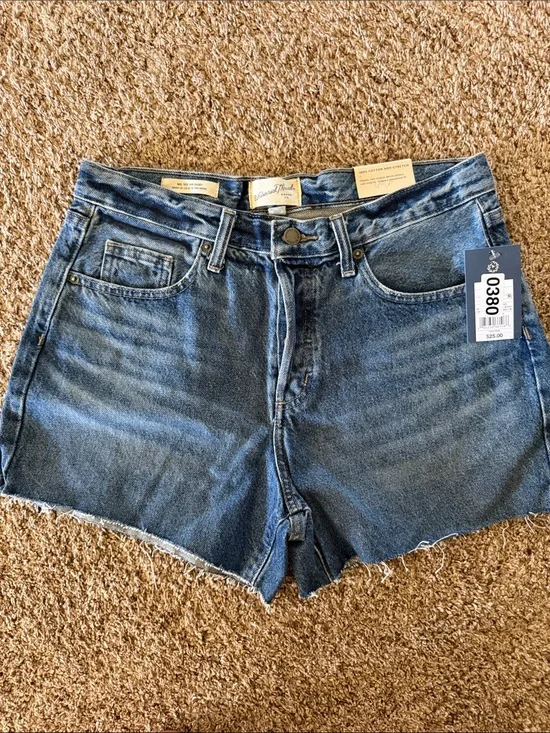 Mid-Rise 90s Baggy Shorts Universal Thread