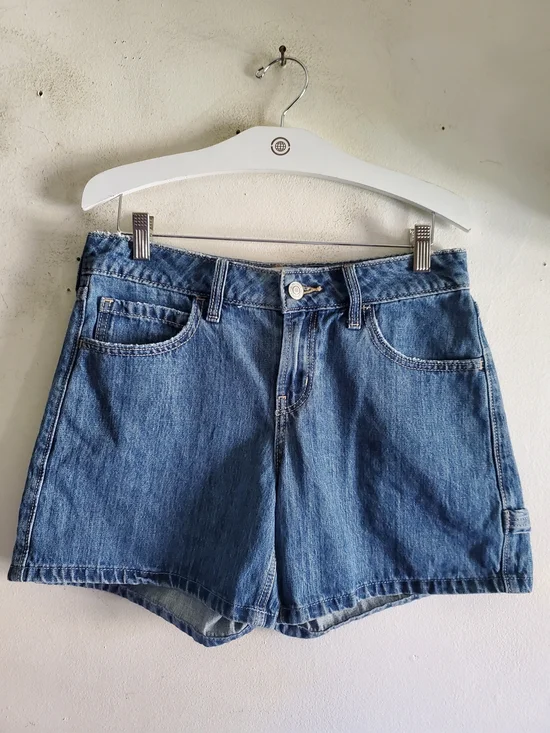 Hollister Low Rise Baggy Short Size 26.