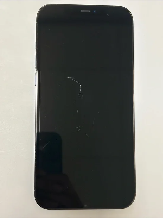 iPhone 12 Pro Max