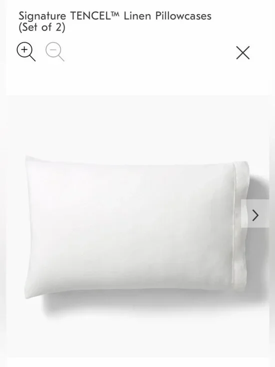 NWT West Elm Signature Tencel Linen White King Pillowcases - Set of 2