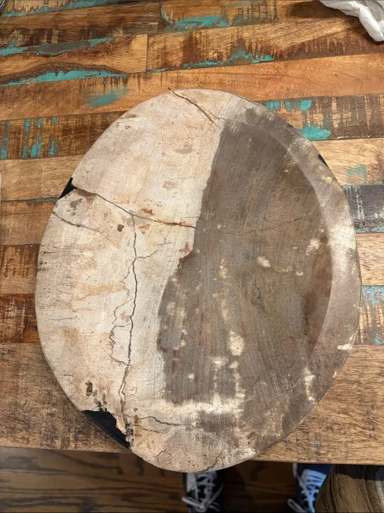 Large Petrified Wood Charcuterie West Elm MSRP $ 120 Never Used