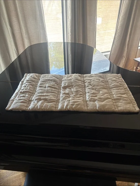 West Elm Silky TENCEL™ Plush Sham 20x36 EUC sand