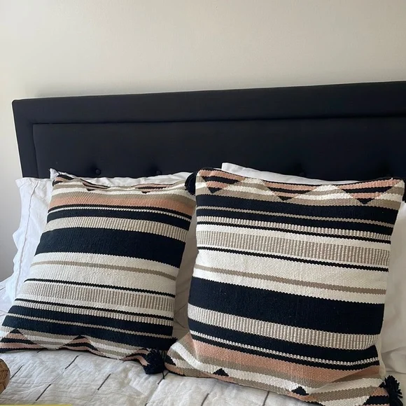 West Elm 20x20 pillow cover