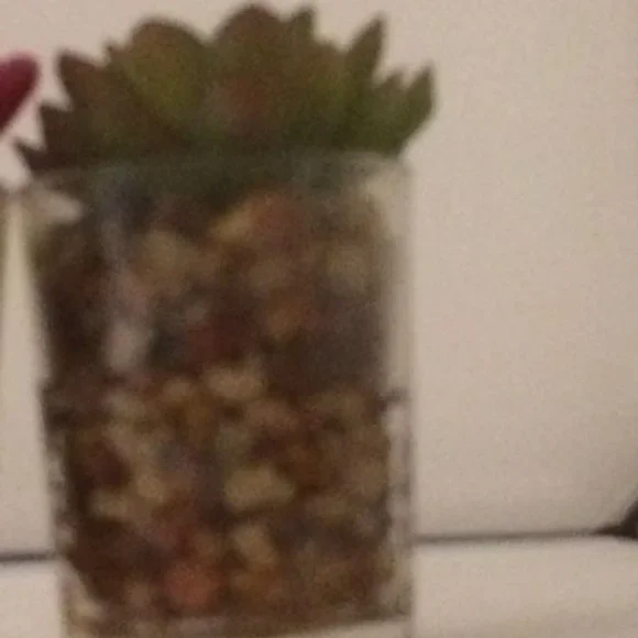 West Elm Faux Potted Mini Succulent