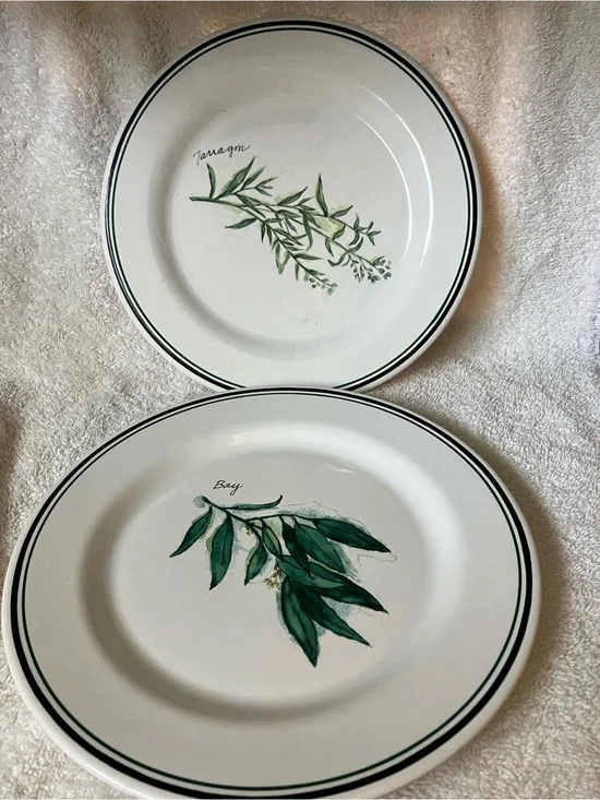2 Williams Sonoma White Salad Plates with Green Herbs Bay and Taragon