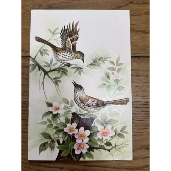 VTG A Sunshine Card Birds Embossed‎ Made In USA Nature Country READ