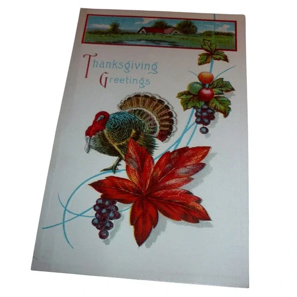 Vintage Thanksgiving Greetings Postcard Embossed Turkey Autumn Leaves USA 524‎