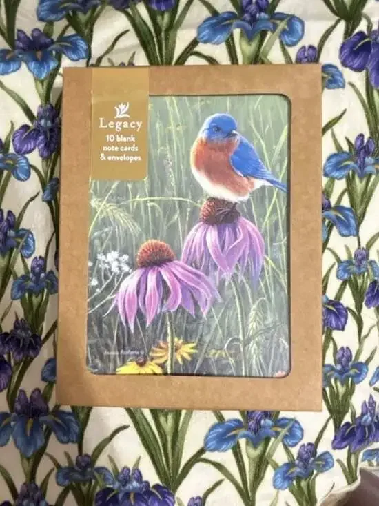 Legacy Pub Group Bluebird & Purple Coneflower 10 Blank Cards/Envelopes