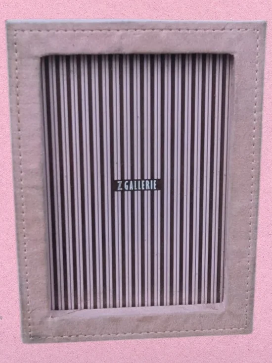 Z Gallerie Pink Velvet Picture Frame