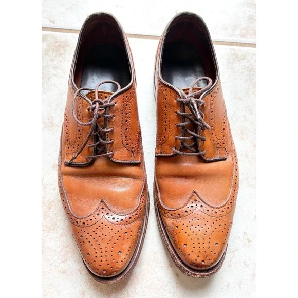 Allen Edmonds Stuttgart Shoes Mens 9 Brown Leather‎ Wingtip Brogue Oxford