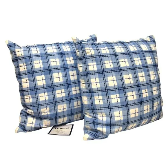 2 Charter Club Painted Plaid Embroidered 18