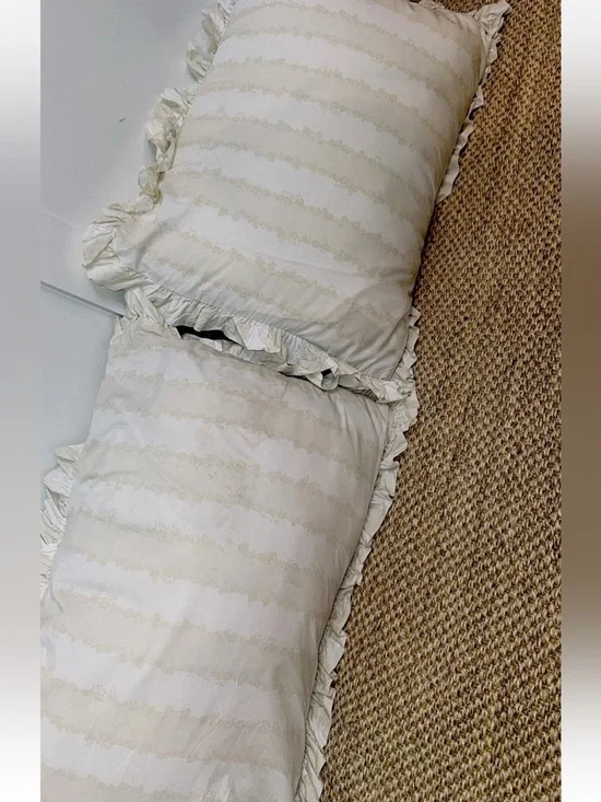 Simply Shabby Chic Rachel Ashwell Grace 2 Ruffled Shams Pristine Vintage Rare