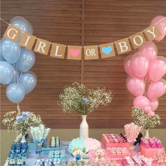 Gender Reveal Party Decoration banner- Pink and Blue