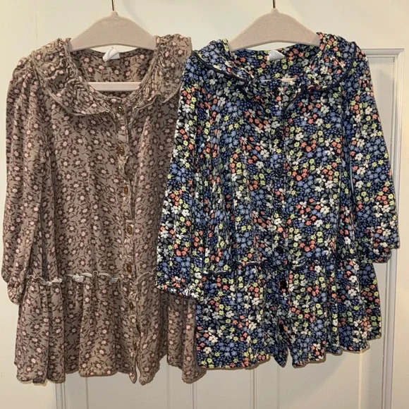 GAP Baby Lightweight Floral Quarter Sleeved ruffle collar Dresses blue Brown 2T