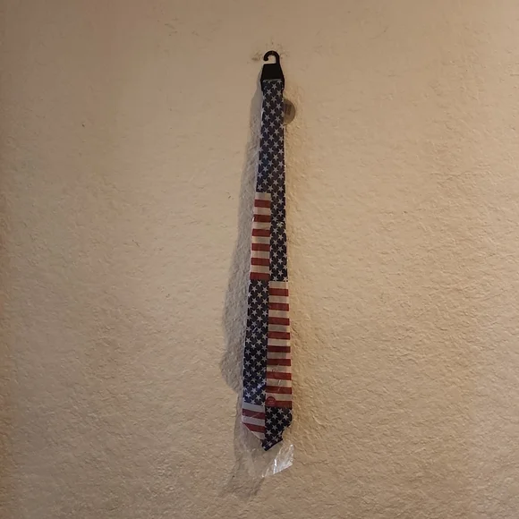 LOT OF 10 AMERICAN FLAG TIES