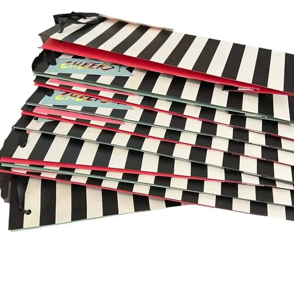 Pack Of Heavy Paper Cheers Wine Gift Bag Set Of 10 Pink Mint Green Black White S